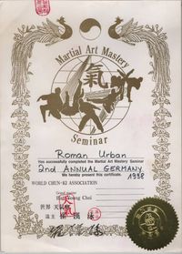 Maerial Arts Mastery Seminar Hapkido in New Mecico, USA